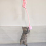 Brinquedo Interativo Sugador Para Gatos - Imagem 3