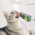 Brinquedo Pet Bola de Catnip Le Spinning 4 em 1 - Imagem 2