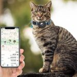 Coleira GPS Refletiva Ajustável Com Rastreador Via Celular - À Prova D'água e À Prova de Choque