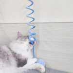 Brinquedo Interativo Sugador Para Gatos - Imagem 4
