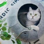Brinquedo Interativo Multifuncional Dobrável Para Gatos - Imagem 2