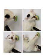 Brinquedo Multifuncional Catnip 360 Giratório Aferição de Autocura - Imagem 2