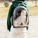 Mochila de Transporte Respirável Para Gatos - Imagem 3